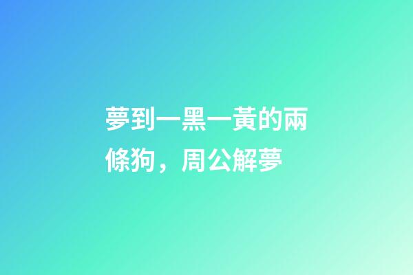 夢到一黑一黃的兩條狗，周公解夢-第1張-觀點-玄機派
