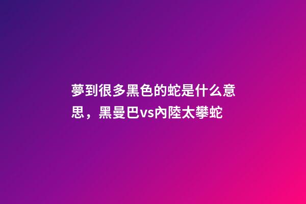 夢到很多黑色的蛇是什么意思，黑曼巴vs內陸太攀蛇-第1張-觀點-玄機派