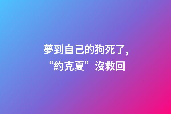 夢到自己的狗死了,“約克夏”沒救回-第1張-觀點-玄機派