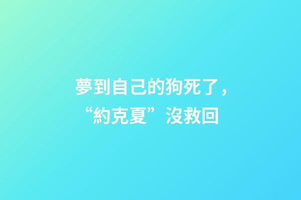 夢到自己的狗死了，“約克夏”沒救回-第1張-觀點-玄機派