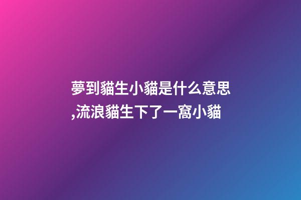 夢到貓生小貓是什么意思,流浪貓生下了一窩小貓-第1張-觀點-玄機派