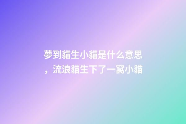 夢到貓生小貓是什么意思，流浪貓生下了一窩小貓-第1張-觀點-玄機派