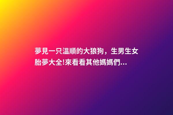 夢見一只溫順的大狼狗，生男生女胎夢大全!來看看其他媽媽們經驗談-第1張-觀點-玄機派