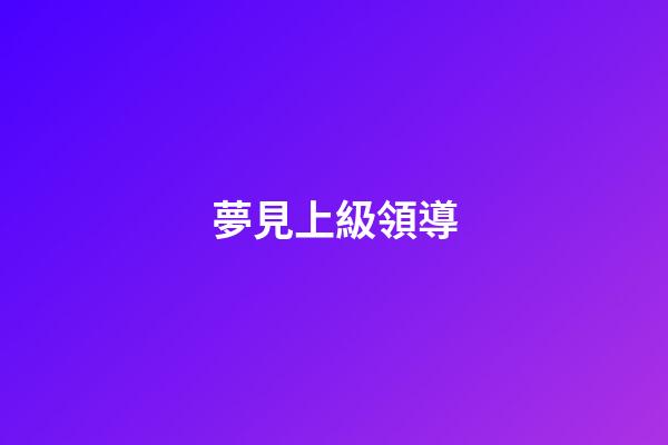 夢見上級領導