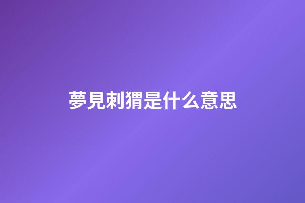 夢見刺猬是什么意思