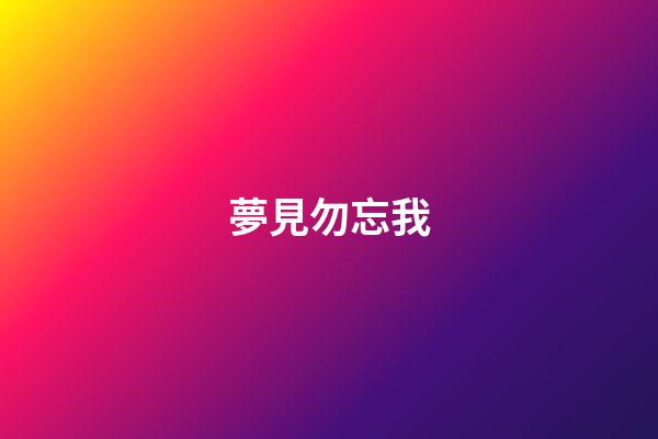夢見勿忘我