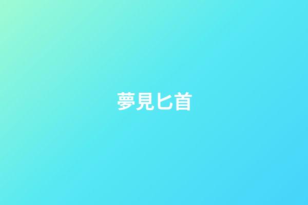 夢見匕首
