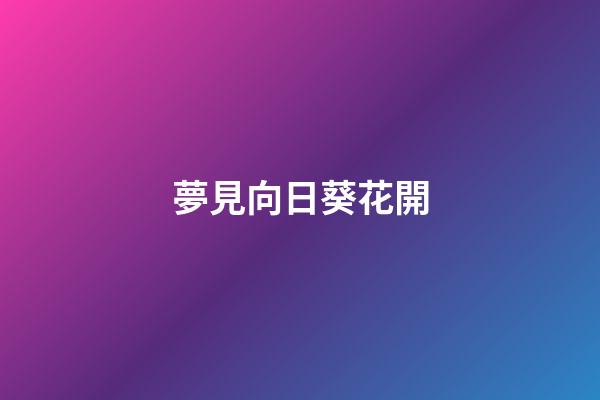 夢見向日葵花開