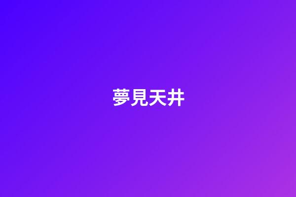 夢見天井