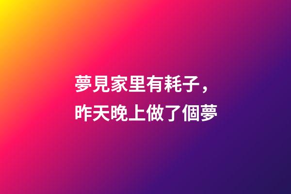 夢見家里有耗子，昨天晚上做了個夢-第1張-觀點-玄機派