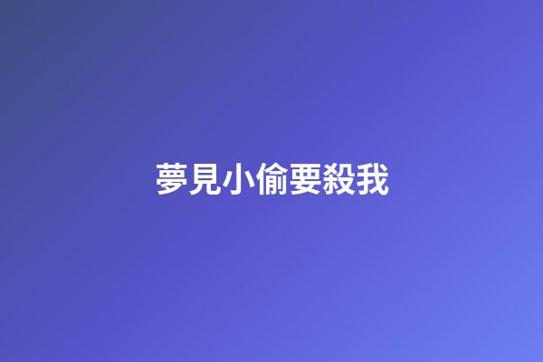 夢見小偷要殺我