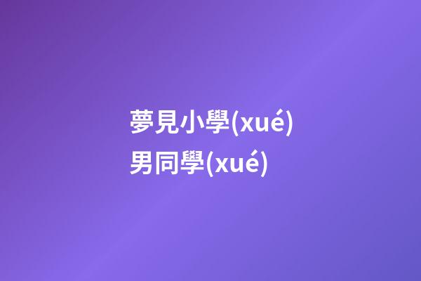 夢見小學(xué)男同學(xué)