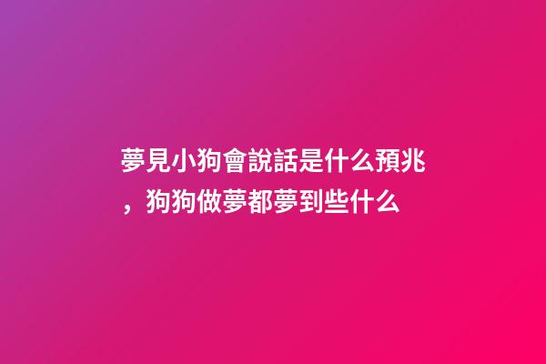 夢見小狗會說話是什么預兆，狗狗做夢都夢到些什么-第1張-觀點-玄機派