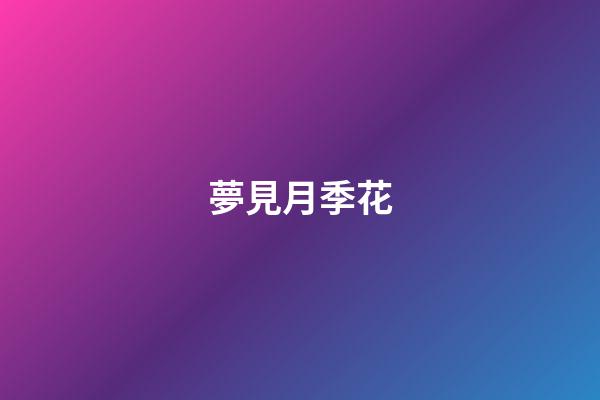 夢見月季花
