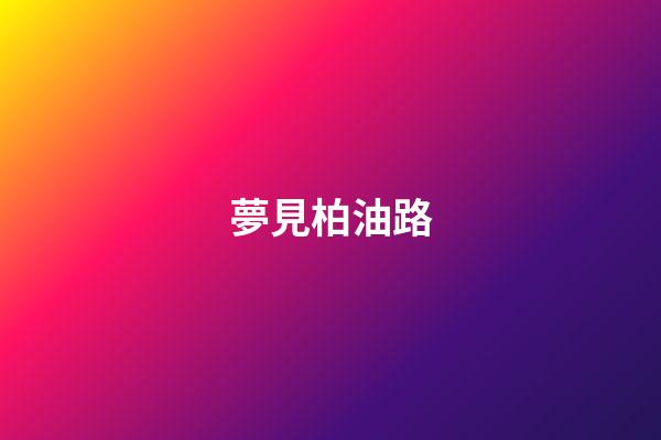 夢見柏油路