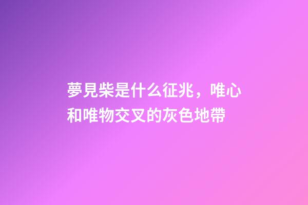 夢見柴是什么征兆，唯心和唯物交叉的灰色地帶-第1張-觀點(diǎn)-玄機(jī)派