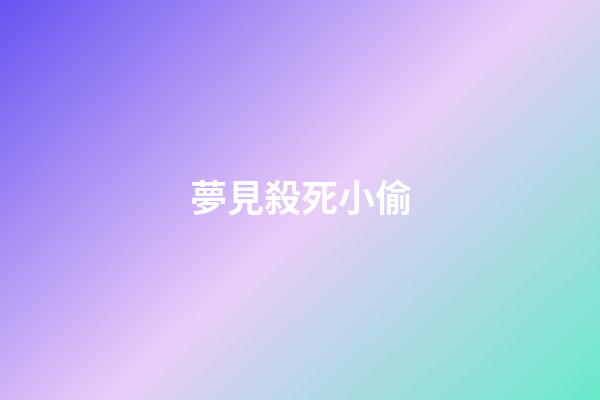 夢見殺死小偷