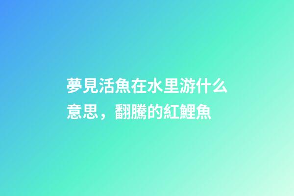 夢見活魚在水里游什么意思，翻騰的紅鯉魚-第1張-觀點-玄機派