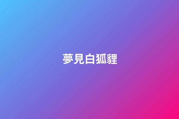 夢見白狐貍