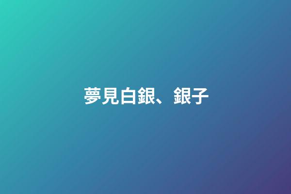 夢見白銀、銀子