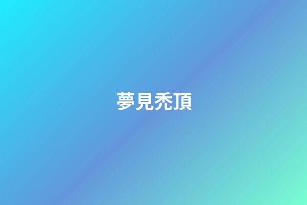 夢見禿頂