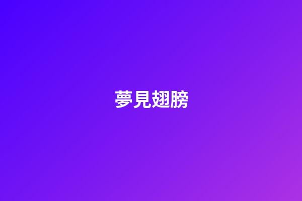 夢見翅膀