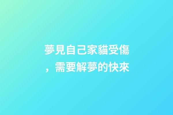 夢見自己家貓受傷，需要解夢的快來-第1張-觀點-玄機派