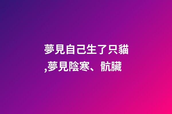 夢見自己生了只貓,夢見陰寒、骯臟-第1張-觀點-玄機派