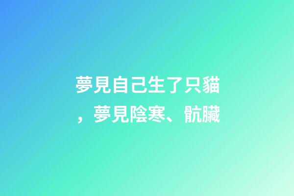 夢見自己生了只貓，夢見陰寒、骯臟-第1張-觀點-玄機派