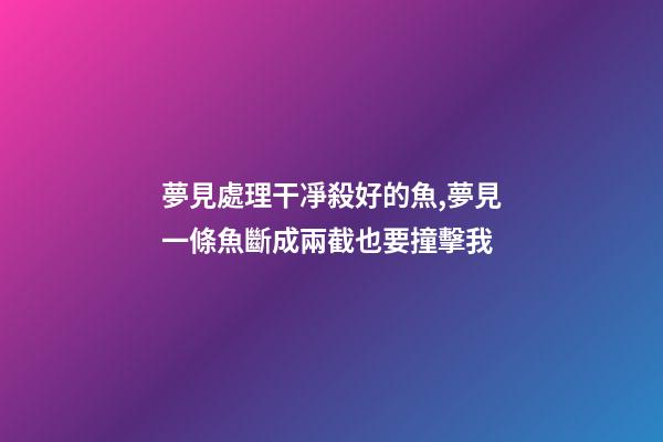 夢見處理干凈殺好的魚,夢見一條魚斷成兩截也要撞擊我-第1張-觀點-玄機派