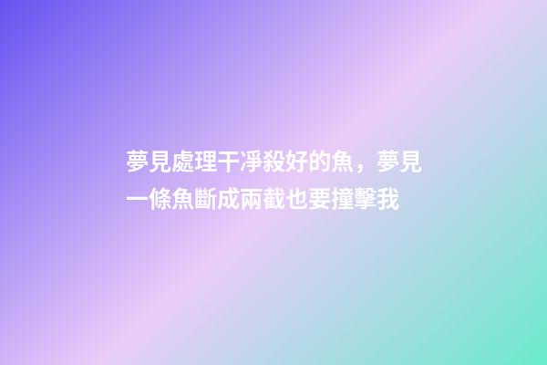 夢見處理干凈殺好的魚，夢見一條魚斷成兩截也要撞擊我-第1張-觀點-玄機派