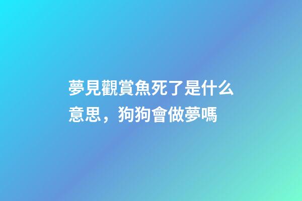 夢見觀賞魚死了是什么意思，狗狗會做夢嗎-第1張-觀點-玄機派