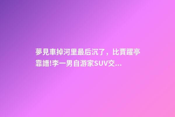 夢見車掉河里最后沉了，比賈躍亭靠譜!李一男自游家SUV交付失敗退款+補償-第1張-觀點-玄機派