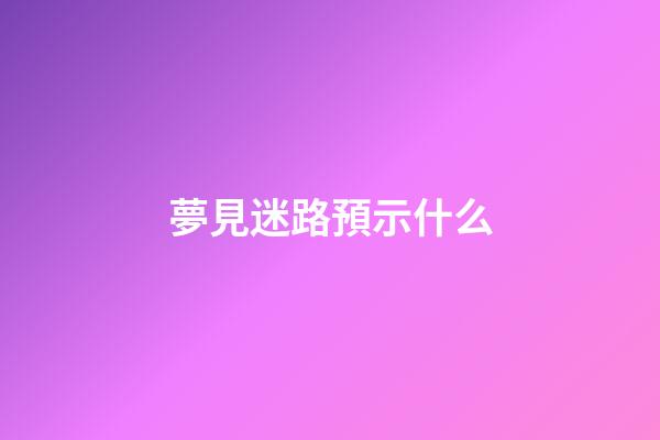 夢見迷路預示什么