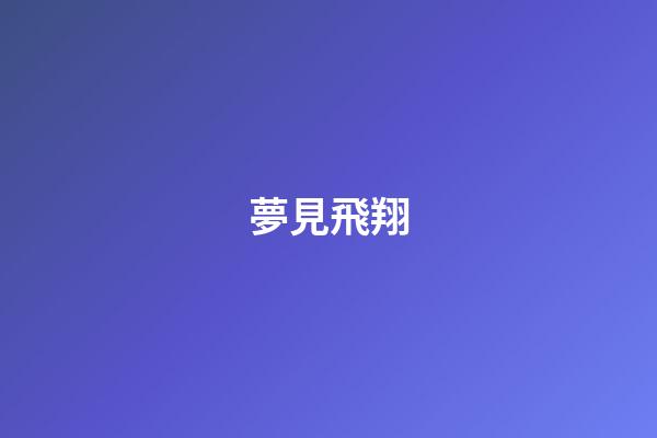 夢見飛翔