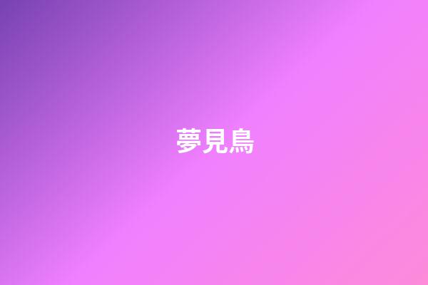 夢見鳥