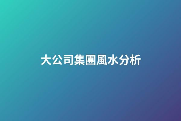 大公司集團風水分析