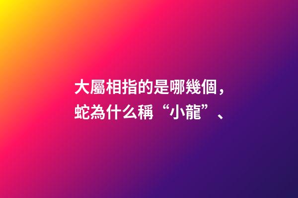 大屬相指的是哪幾個，蛇為什么稱“小龍”、-第1張-觀點-玄機派