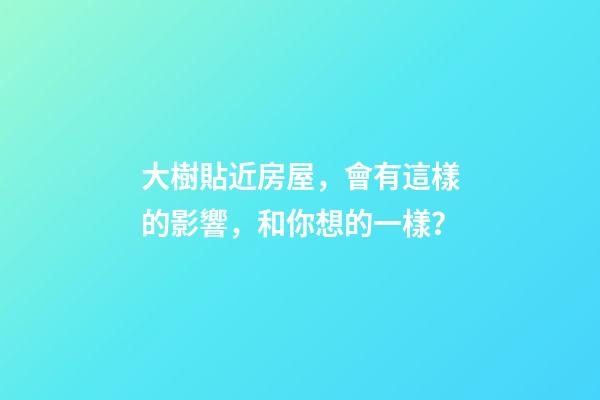 大樹貼近房屋，會有這樣的影響，和你想的一樣？