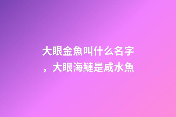 大眼金魚叫什么名字，大眼海鰱是咸水魚-第1張-觀點-玄機派