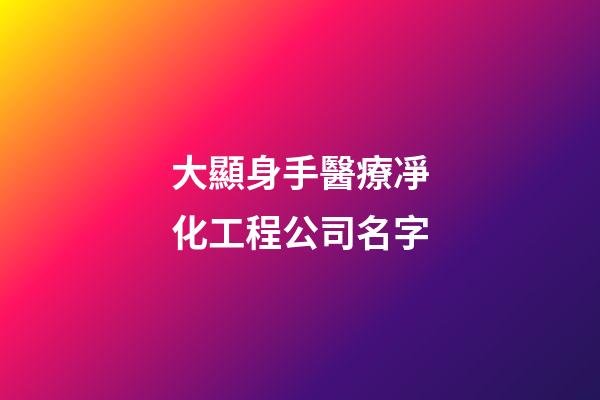 大顯身手醫療凈化工程公司名字-第1張-公司起名-玄機派