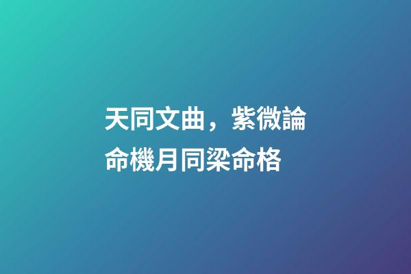 天同文曲，紫微論命機月同梁命格-第1張-觀點-玄機派