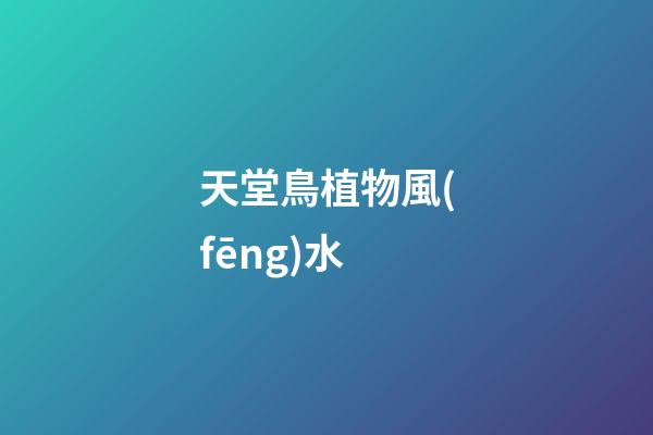 天堂鳥植物風(fēng)水