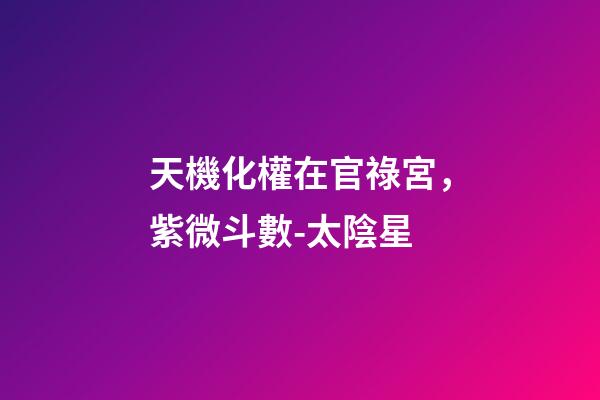 天機化權在官祿宮，紫微斗數-太陰星-第1張-觀點-玄機派