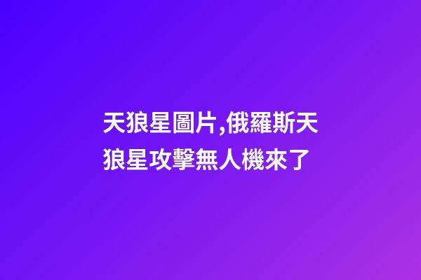 天狼星圖片,俄羅斯天狼星攻擊無人機來了-第1張-觀點-玄機派