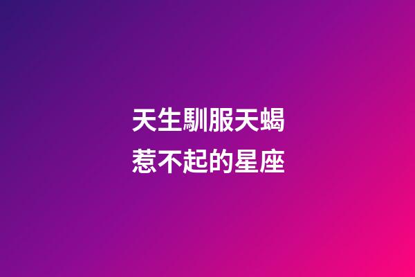 天生馴服天蝎惹不起的星座-第1張-星座運勢-玄機派