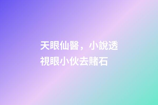 天眼仙醫，小說透視眼小伙去賭石-第1張-觀點-玄機派