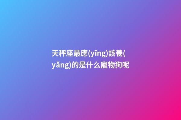天秤座最應(yīng)該養(yǎng)的是什么寵物狗呢-第1張-星座運(yùn)勢(shì)-玄機(jī)派