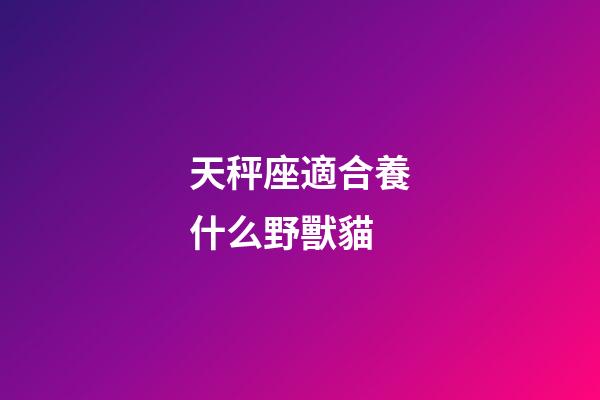 天秤座適合養什么野獸貓-第1張-星座運勢-玄機派