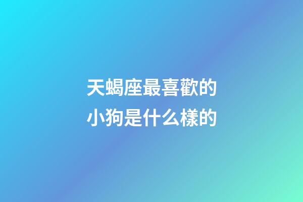 天蝎座最喜歡的小狗是什么樣的-第1張-星座運勢-玄機派